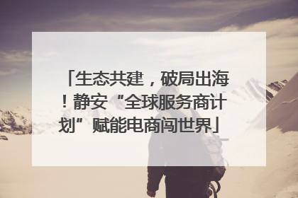生态共建，破局出海！静安“全球服务商计划”赋能电商闯世界
